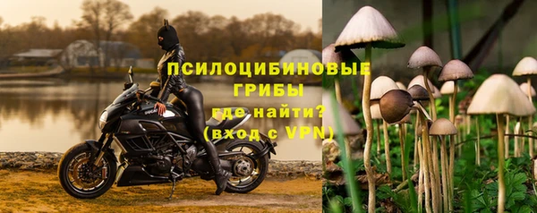 тгк Армянск