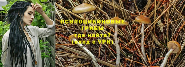 бутират Арсеньев