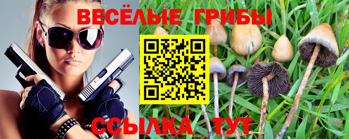 Псилоцибиновые грибы мицелий  дарнет шоп  Черняховск  Вход с VPN  Псилоцибиновые грибы Magic Shrooms 
